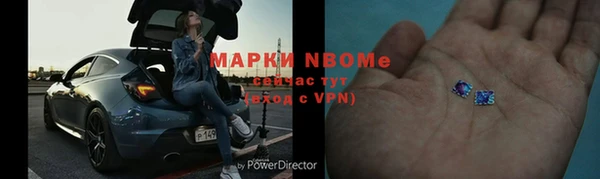 прущие грибы Алзамай
