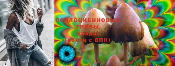 прущие грибы Алзамай
