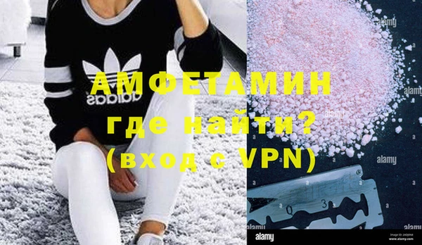 прущие грибы Алзамай